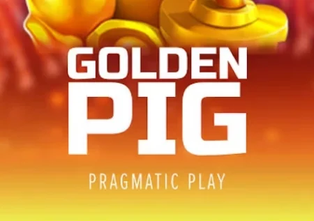 Golden Pig