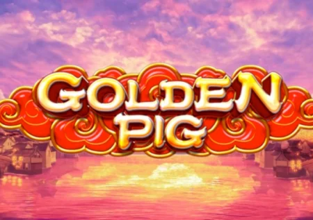 Golden Pig
