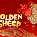 Golden Sheep