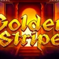 Golden Stripe