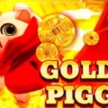 Goldy Piggy