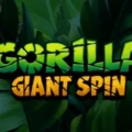 Gorilla Giant Spin