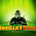 Gorilla’s Realm