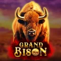Grand Bison