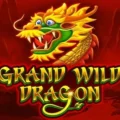 Grand Wild Dragon