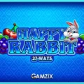 Happy Rabbit 27 Ways