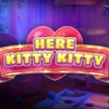 Here Kitty Kitty