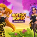Hot Hot Honey