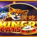 Hungry Cats