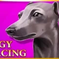 Iggy Racing