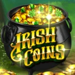 Irish Coins