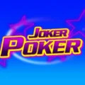 Joker Poker 1 Hand