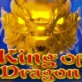 King Of Dragon