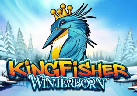 Kingfisher Winterborn