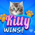 Kitty Wins