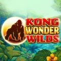 Kong Wonder Wilds