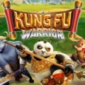 Kung Fu Warrior