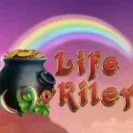 Life O’Riley