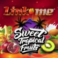 Link Me Sweet Tropical Fruits