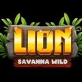 Lion Savanna Wild