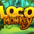 Loco The Monkey