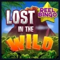 Lost in the Wild with Reel Bingo