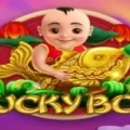 Lucky Boy