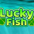 Lucky Fish