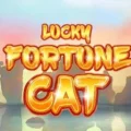 Lucky Fortune Cat