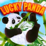 Lucky Panda