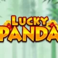 Lucky Panda