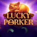 Lucky Porker