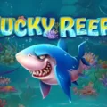Lucky Reefs