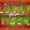 Lucky Tiger