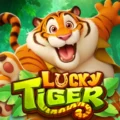 Lucky Tiger