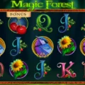 Magic Forest