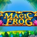 Magic Frog