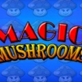 Magic Mushrooms