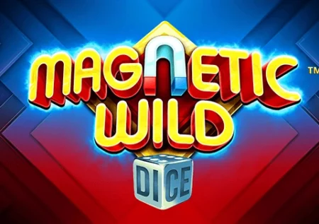 Magnetic Wild Dice