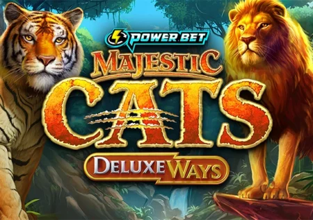 Majestic Cats DeluxeWays