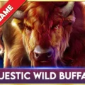 Majestic Wild Buffalo