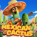 Mexican Cactus