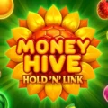 Money Hive Hold ‘N’ Link