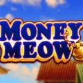 Money Meow