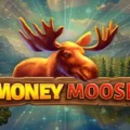 Money Moose