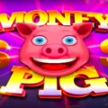 Money Pig