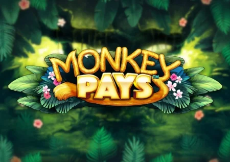Monkey Pays