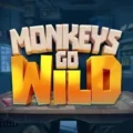 Monkeys Go Wild