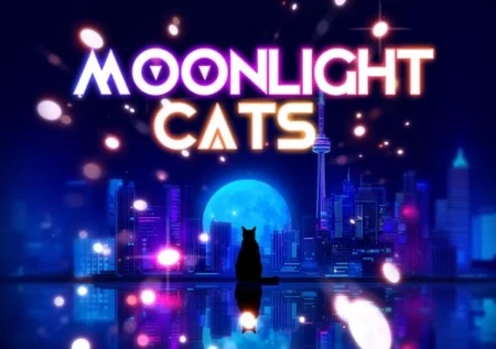 Moonlight Cats