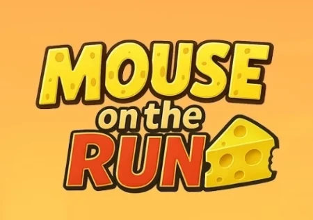 Mouse on the Run